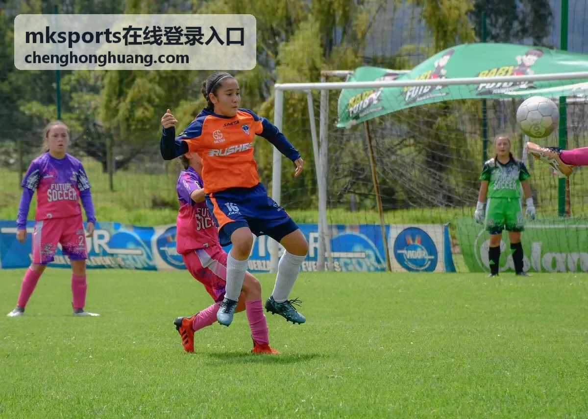 mksports在线登录入口 短信验证码接收示意
